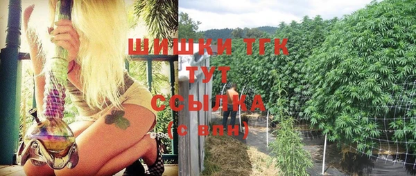 дмт Пролетарск
