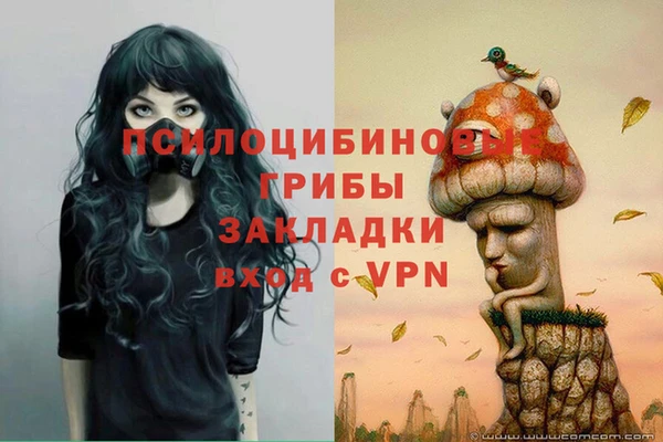 дмт Пролетарск
