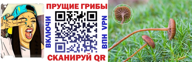 купить   Юрюзань  Галлюциногенные грибы мухоморы 